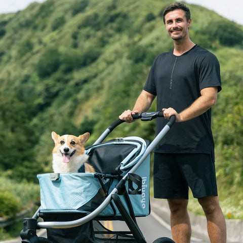 Ibiyaya The Beast Pet Jogging Stroller 3-Wheel All-Terrain Pram