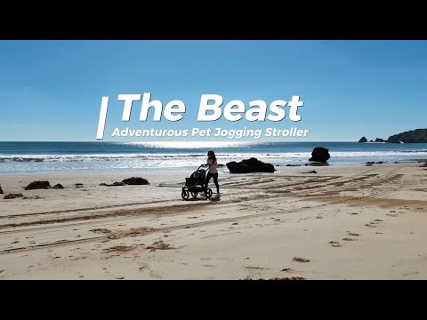 Ibiyaya The Beast Pet Jogging Stroller 3-Wheel All-Terrain Pram