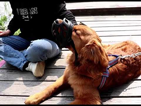 Soft Silicone Dog Muzzle