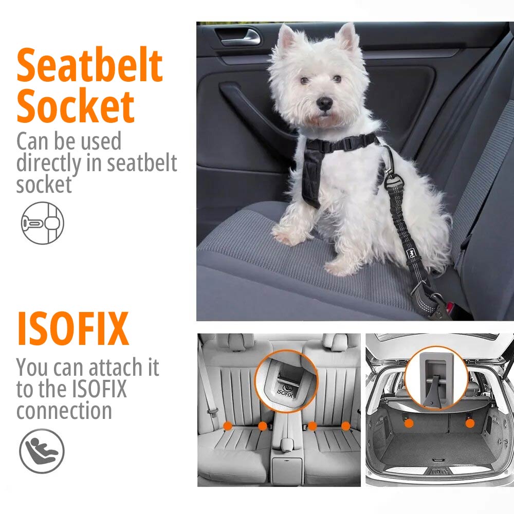 Isofix dog 2024 seat belt