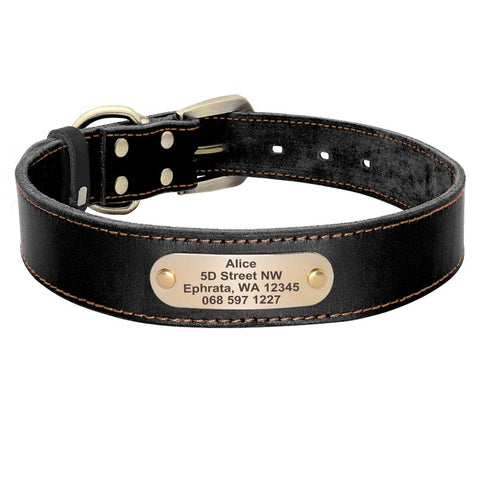 Sirius Genuine Leather Dog Collar Personalised