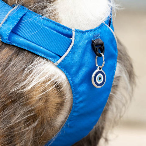 Sport Harness with Handle Red Dingo