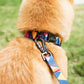 Iris Nylon Dog Leash 140cm Dog Nation