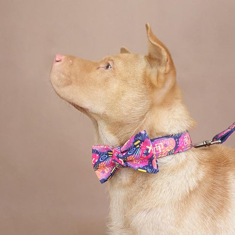 The Deep Graffiti Personalised Dog Collar Leash Set Dog Nation