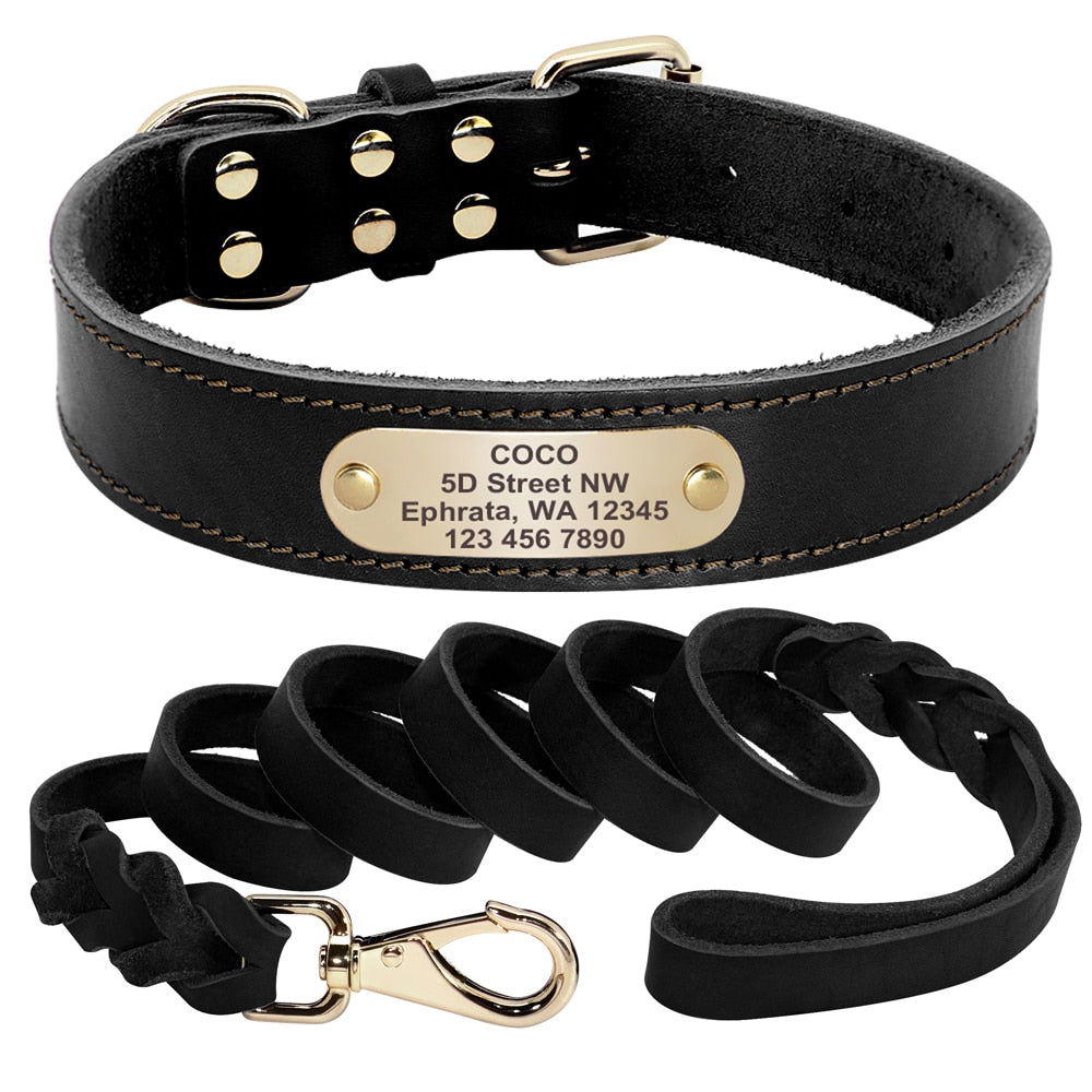 Solaris Genuine Leather Dog Collar and Leash Set Personalised Black Dog Nation