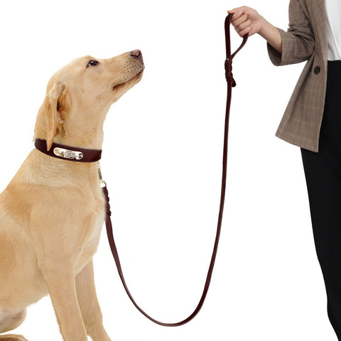 Solaris Genuine Leather Dog Collar and Leash Set Personalised Dog Nation
