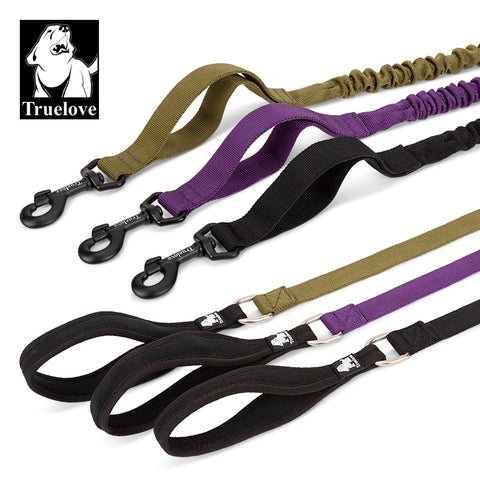 Bungee Dog Leash With Soft Padded Handle Dog Nation