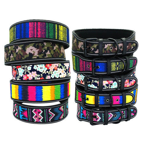 Astro Beautiful Designer Wide Neoprene Dog Collars Dog Nation