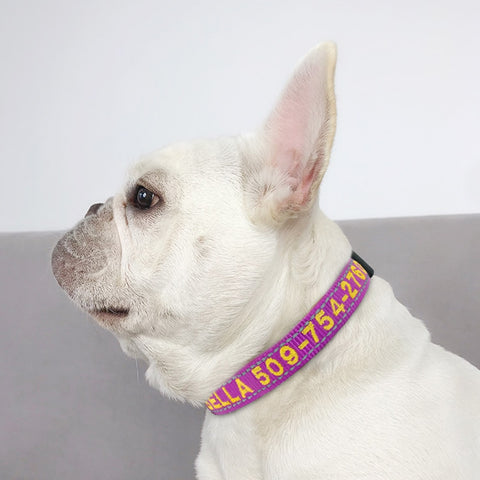 Embroidered Dog Collar Nylon Personalised Reflective Dog Nation