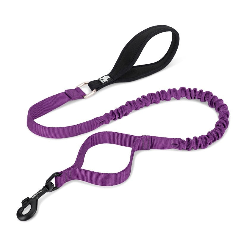 Bungee Dog Leash With Soft Padded Handle Purple Dog Nation