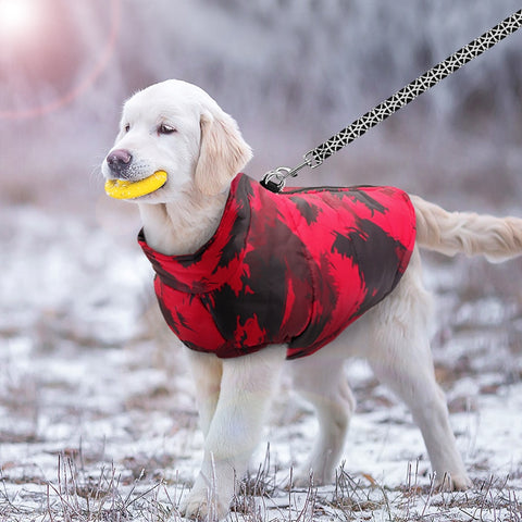 Winter Dog Jacket Dog Nation