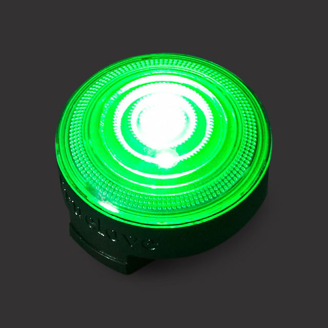 Safety LED Light for Dog Collar or Harness Water Resistant Green Dog Nation