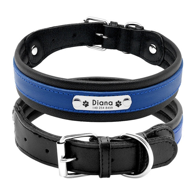 Leather Personalised Dog Collar - Main Image
