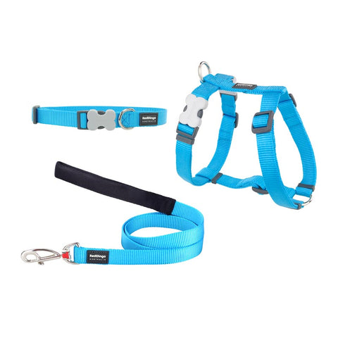 Essential Puppy Starter Pack Turquoise Dog Nation