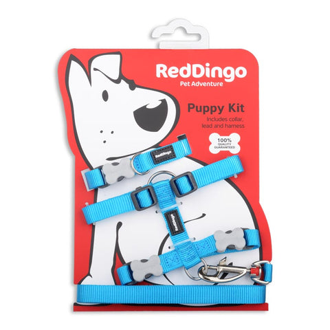 Essential Puppy Starter Pack Dog Nation