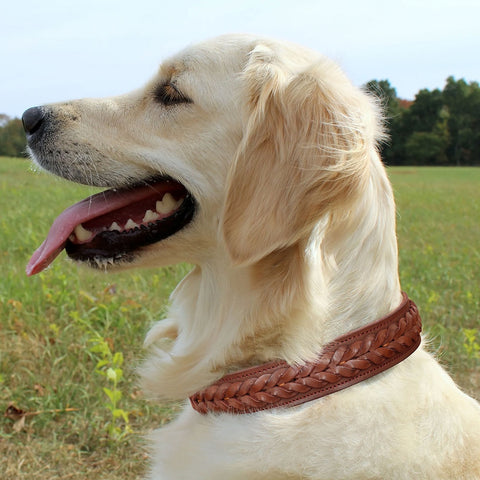 Mars Genuine Leather Dog Collar Braided Design Dog Nation