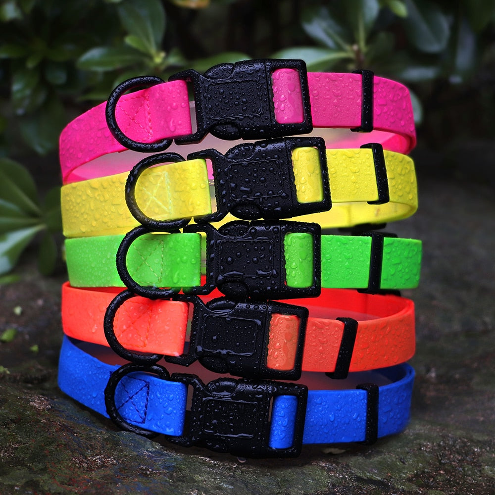 PVC Dog Collar Waterproof Vivid Colours Hard Wearing Dog Nation