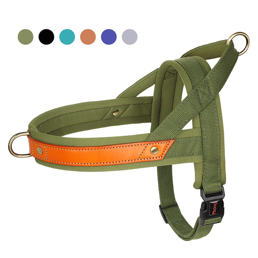 TailWag Freedom Dog Harness No Pull Soft Padded – Dog Nation