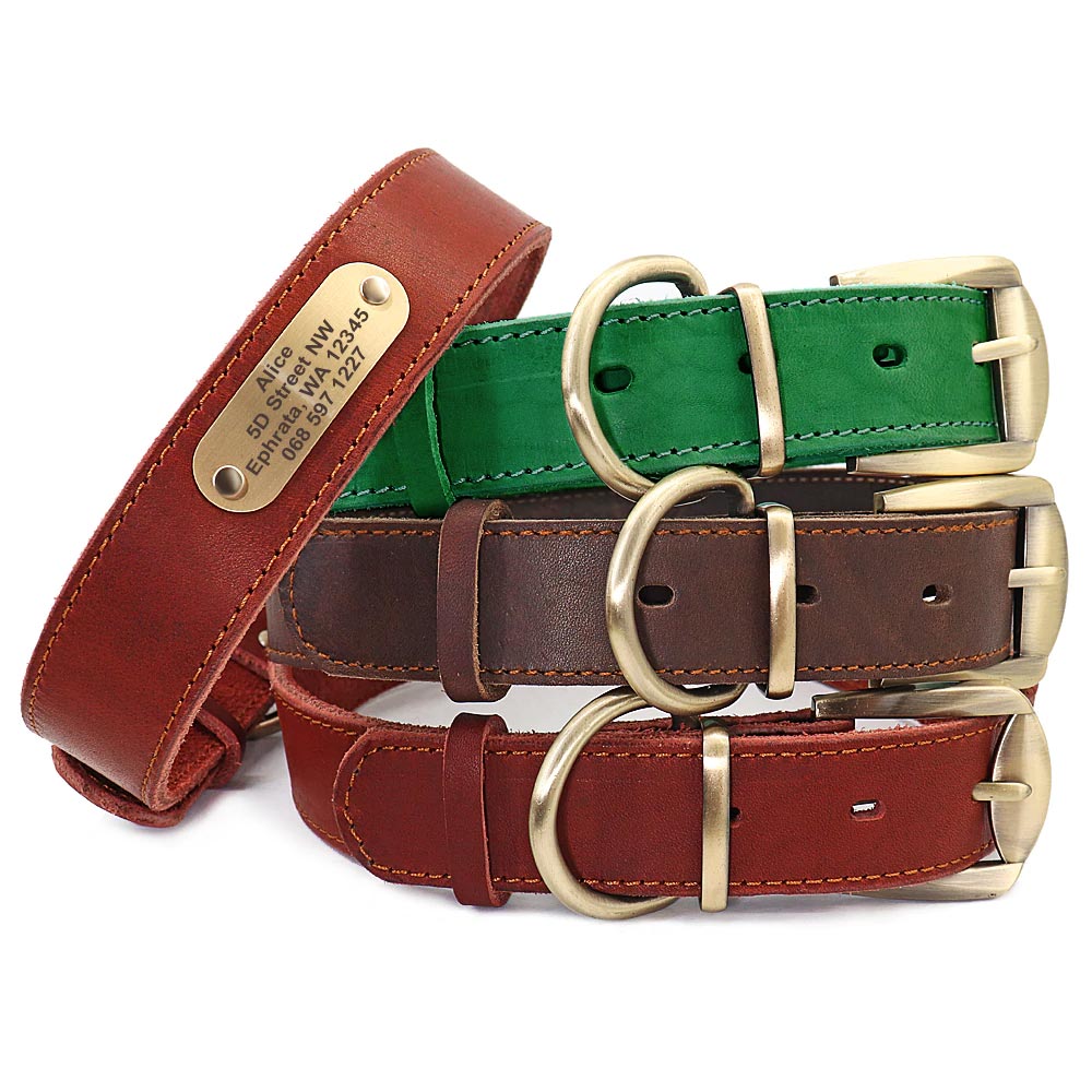 Sirius Genuine Leather Dog Collar Personalised Dog Nation