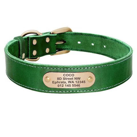Sirius Genuine Leather Dog Collar Personalised Green Dog Nation