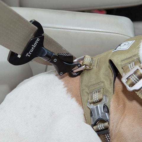 Dog Car Seat Belt Safety Buckle Dog Nation