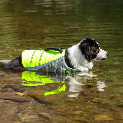Life Jacket for Dogs Truelove Dog Nation