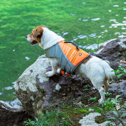 Life Jacket for Dogs Truelove Dog Nation