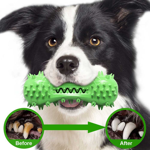 Dog Chew Toy Squeaky Bone Dog Nation