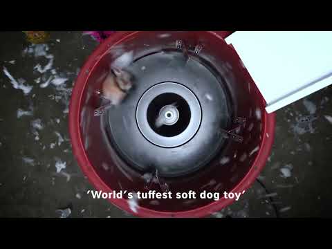Dog Soft Toy Wombat