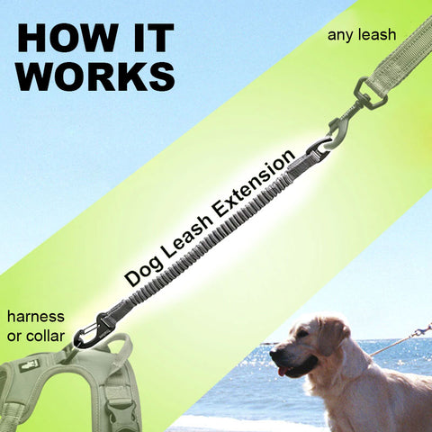 Bungee Dog Leash Extension Dog Nation