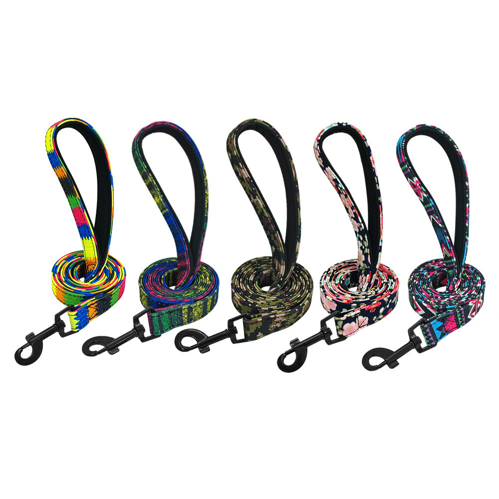 Astro Colourful Stylish Dog Leash Dog Nation