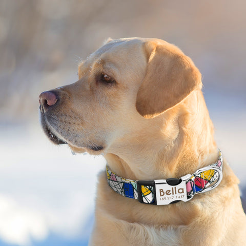 Delta Dog Collar Nylon Colourful Pattern Free Engraving Dog Nation