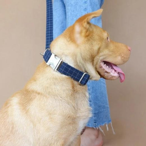 The Deep Blue Personalised Dog Collar Handmade Laser Engraved Dog Nation