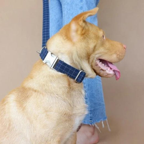 The Deep Blue Plaid Personalised Dog Collar & Leash Set Handmade Laser Engraved Dog Nation