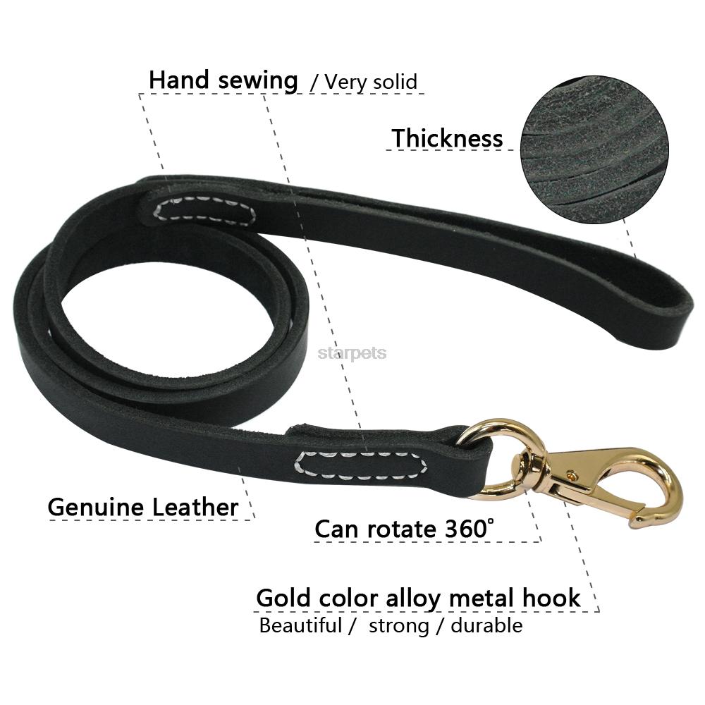 Handmade Leather Dog Leash 4 Sizes Dog Nation