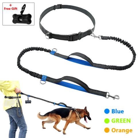Hands Free Elastic Dog Leash for Joggers + Free Gift Dog Nation