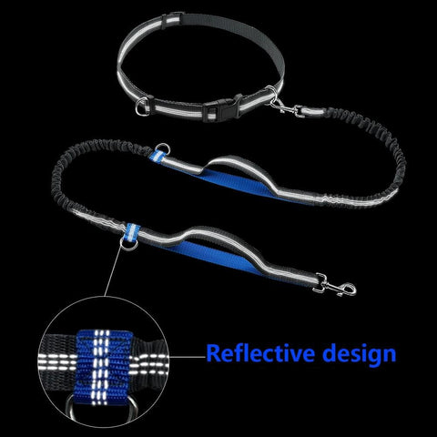 Hands Free Elastic Dog Leash for Joggers + Free Gift Dog Nation