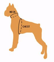 Quality Breathable Mesh Nylon Dog Harness Dog Nation