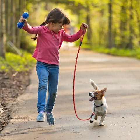 Nylon Dog Leash 1.5m Durable Dog Nation
