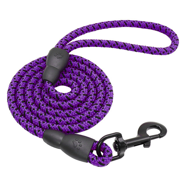 Nylon Dog Leash 1.5m Durable Purple Dog Nation