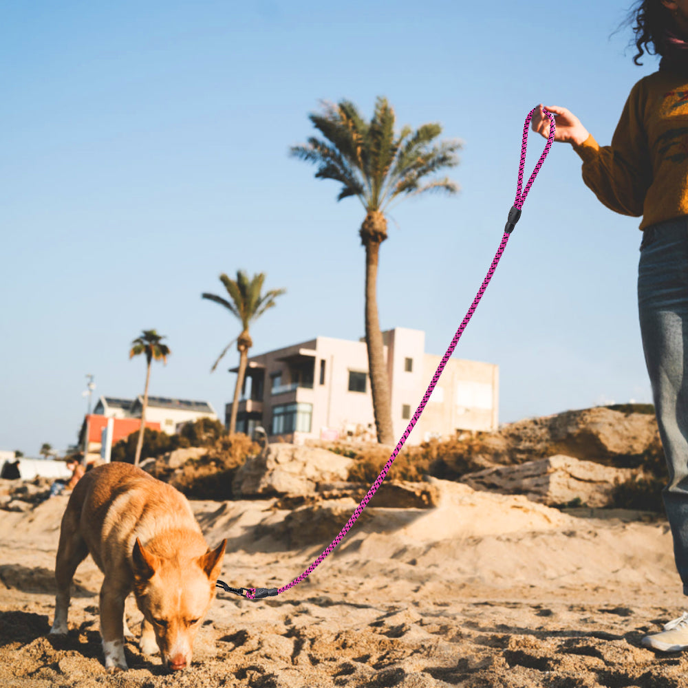 Nylon Dog Leash 1.5m Durable Dog Nation