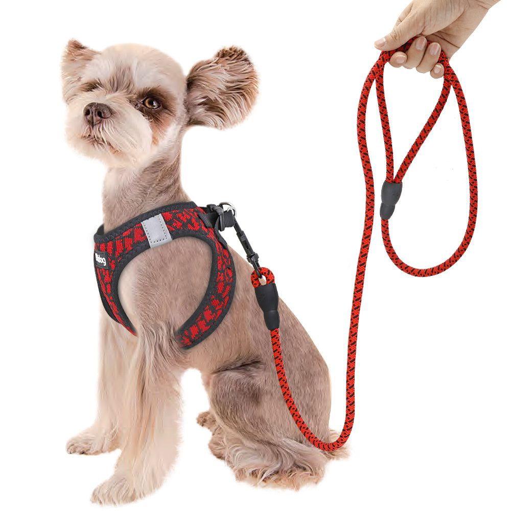 Nylon Dog Leash 1.5m Durable – Dog Nation