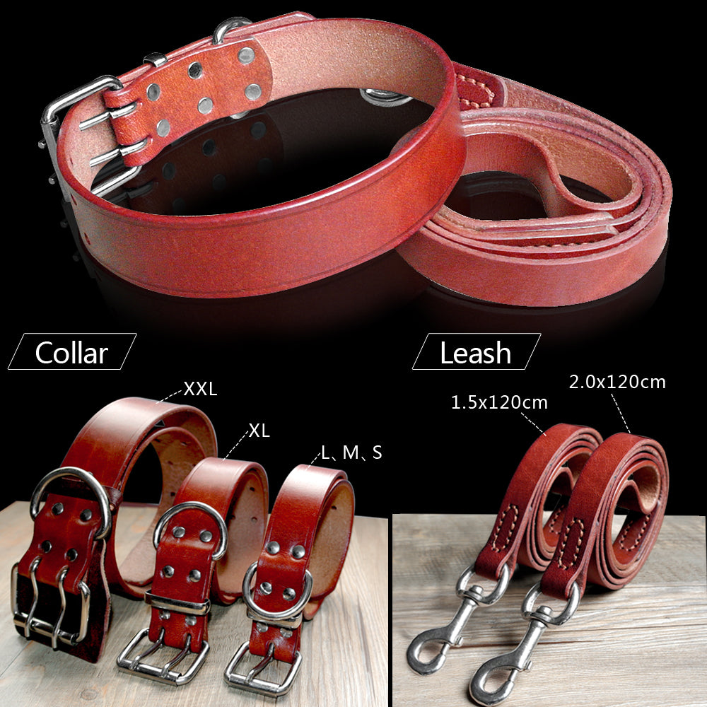 Theo Heavy Duty Genuine Leather Dog Collar Leash Set Dog Nation