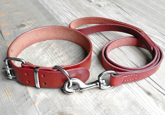 Theo Heavy Duty Genuine Leather Dog Collar Leash Set Dog Nation