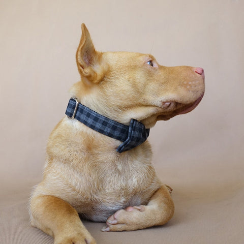 The Black Plaid Personalised Dog Collar Leash Set Handmade Laser Engraved Dog Nation