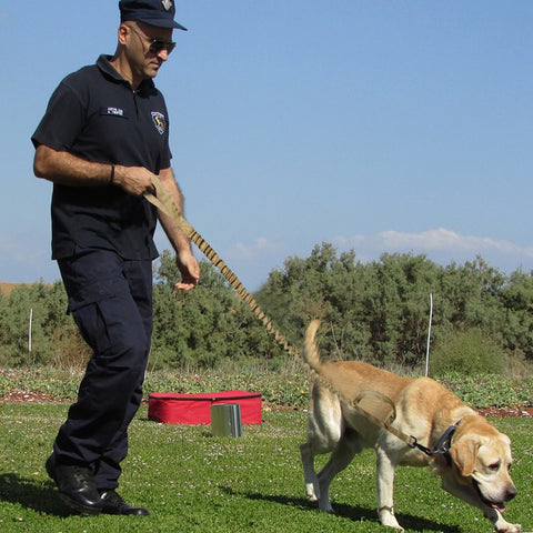Tactical Training Dog Leash for Medium Large Dogs Dog Nation