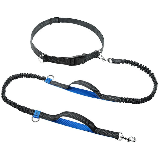 Hands Free Elastic Dog Leash for Joggers + Free Gift Blue Dog Nation