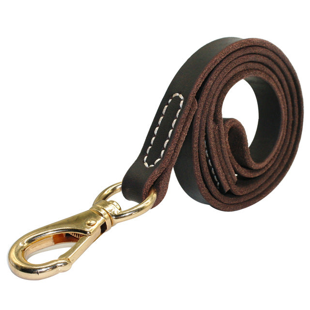 Handmade Leather Dog Leash 4 Sizes Brown Dog Nation