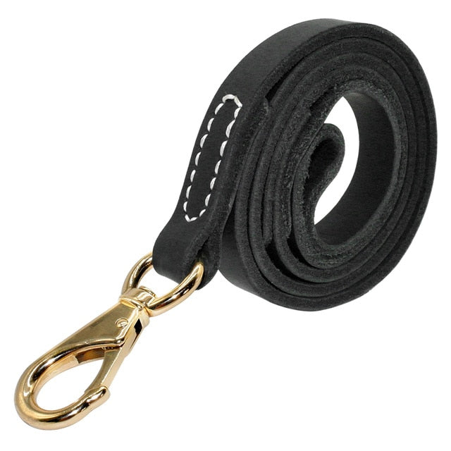 Black leather best sale dog leash