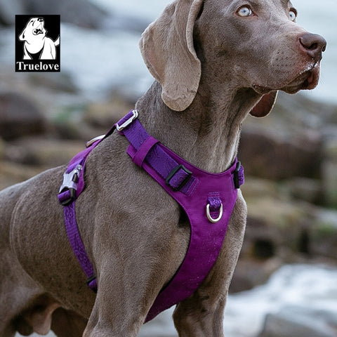 Light Weight No Pull Dog Harness Dog Nation